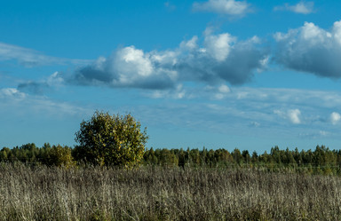 Similar image 6442284