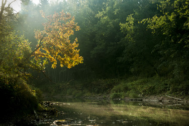 Similar image 6442285