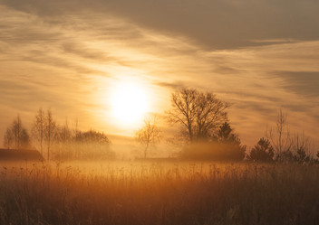 Similar image 6442291