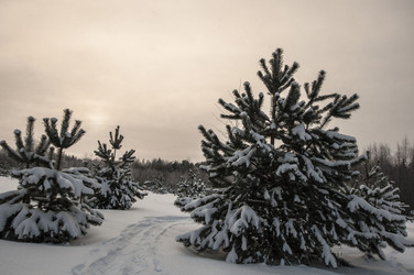 Similar image 6442294