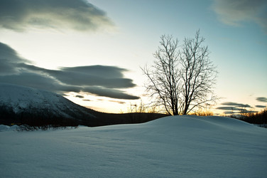 Similar image 6442296