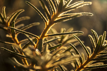 Similar image 6442301