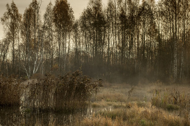 Similar image 6442303