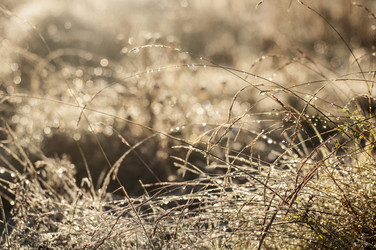 Similar image 6442304