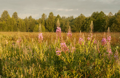 Similar image 6442305