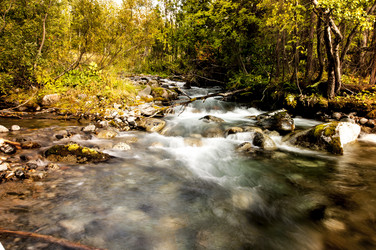 Similar image 6442307