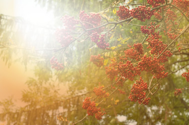 Similar image 6442309