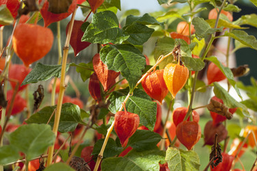 Similar image 6442310