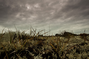 Similar image 6442312