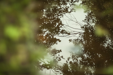 Similar image 6442313