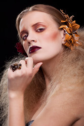 Similar image 6442356