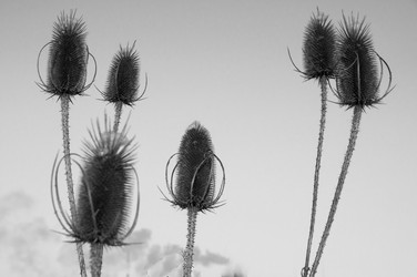 Similar image 6442610