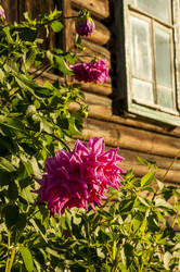 Similar image 6442612