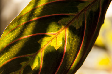 Similar image 6442613