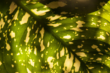 Similar image 6442614