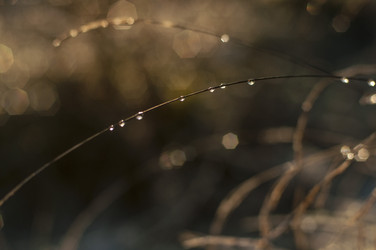 Similar image 6442617