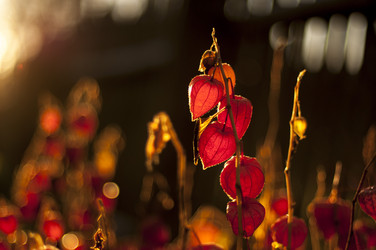 Similar image 6442618