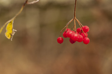 Similar image 6442619