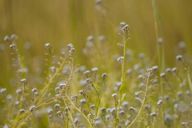 Similar image 6442636