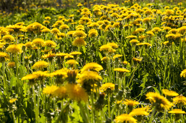 Similar image 6442637