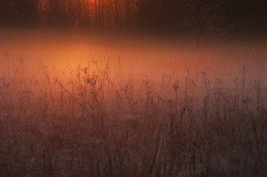 Similar image 6442638