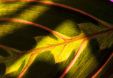 Similar image 6442640