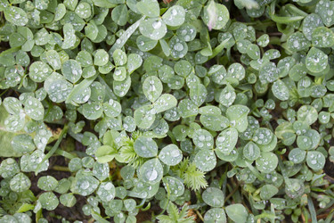 Similar image 6442648