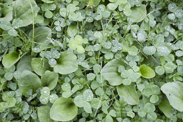 Similar image 6442649