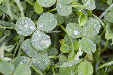 Similar image 6442650