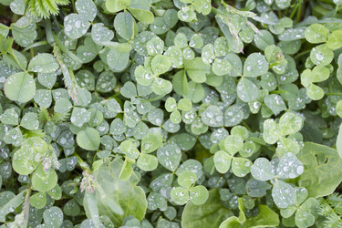 Similar image 6442651