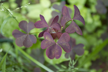 Similar image 6442652