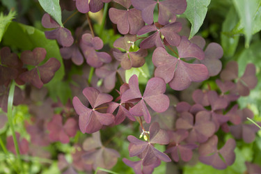 Similar image 6442653