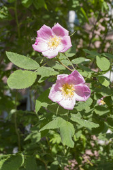 Similar image 6442655