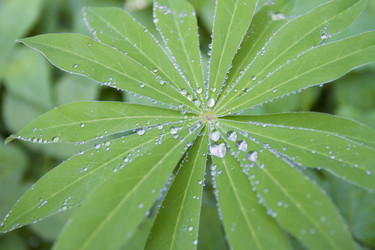 Similar image 6442656