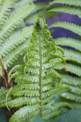 Similar image 6442657