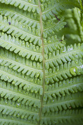 Similar image 6442658