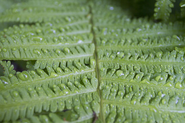 Similar image 6442659