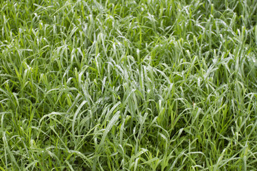 Similar image 6442675