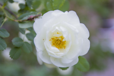 Similar image 6442677