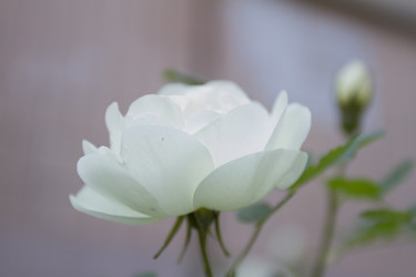 Similar image 6442678