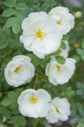 Similar image 6442679