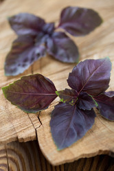 Similar image 6442685