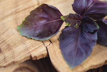 Similar image 6442686