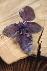 Similar image 6442687