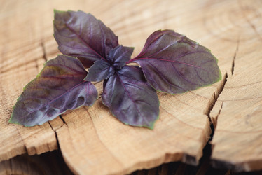 Similar image 6442704