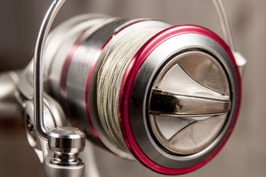 Similar image 6442779