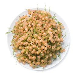 Similar image 6442789