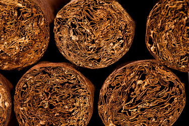 Similar image 6443020