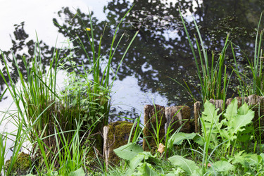 Similar image 6443128