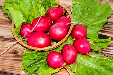 Similar image 6443132